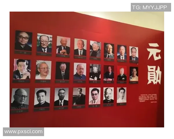 杭州乒乓球队的崛起之路：钻石联赛背后的成长与奋斗故事