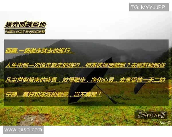 杭州排球队在洲际杯中的蜕变与新篇章探索之旅