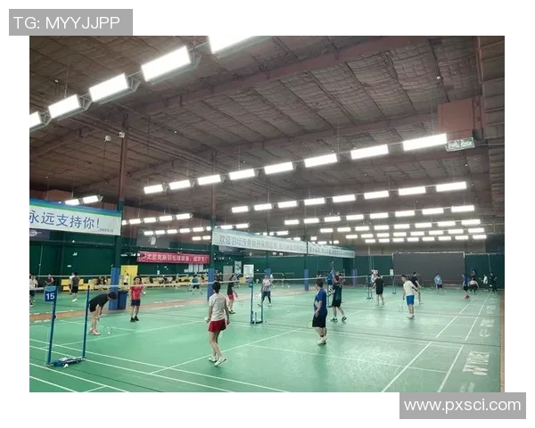 杭州羽毛球队的控制革新探索与实践全景分析