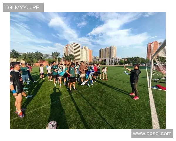 热爱少林足球的足球明星们如何在绿茵场上展现独特魅力与风采