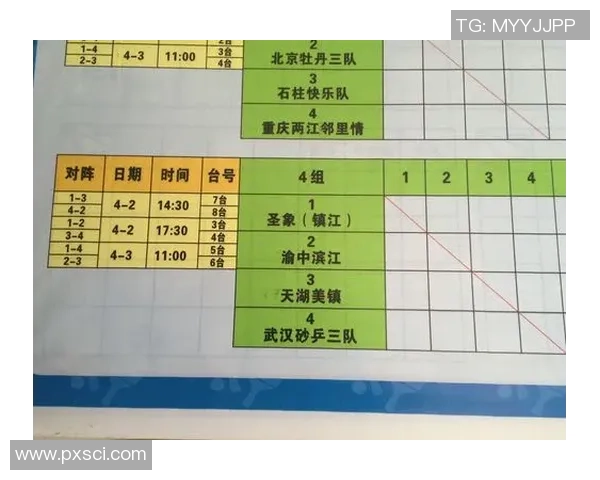 重庆乒乓球队运营策略深度剖析与发展前景展望